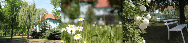Pension Grüner Wohnen in Wolfen