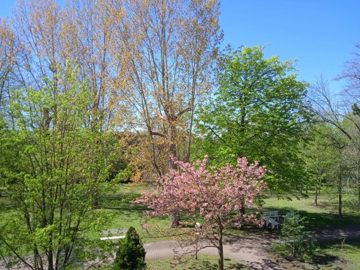 Grüne Gartenanlage der Unikum Pension in Wolfen mit blühendem Zierstrauch und Bäumen im Hintergrund.