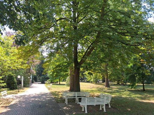 Sitzgelegenheiten mit weißen Gartenmöbeln unter großen Bäumen auf dem Außengelände der Unikum Pension in Wolfen.